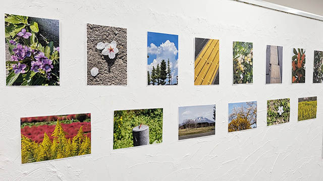 まい写真展