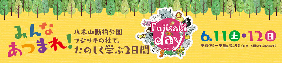 フジサキデイ