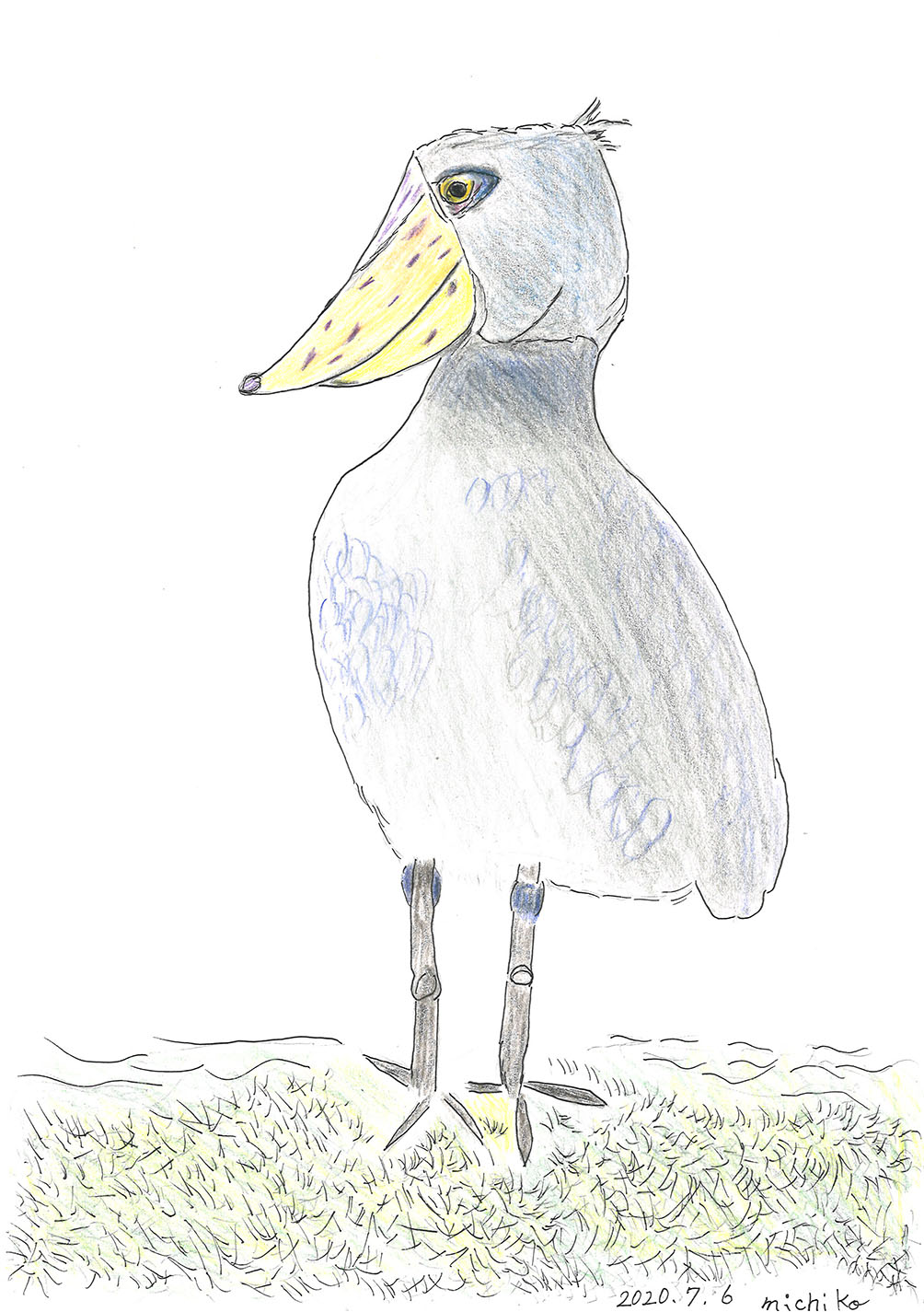 ハシビロコウ